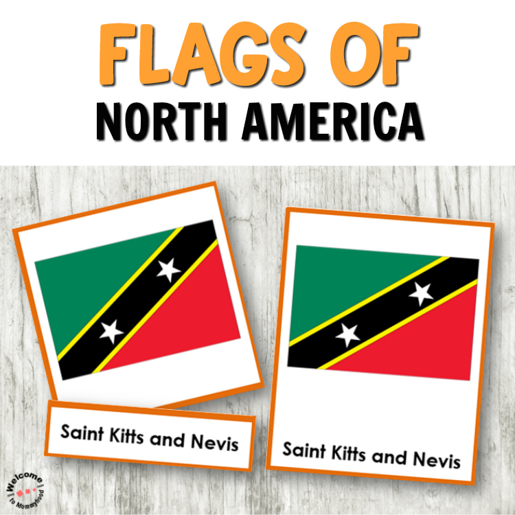 Discover Montessori North America continent study activities and resources. Everything from flags to life cycles to grammar is included!