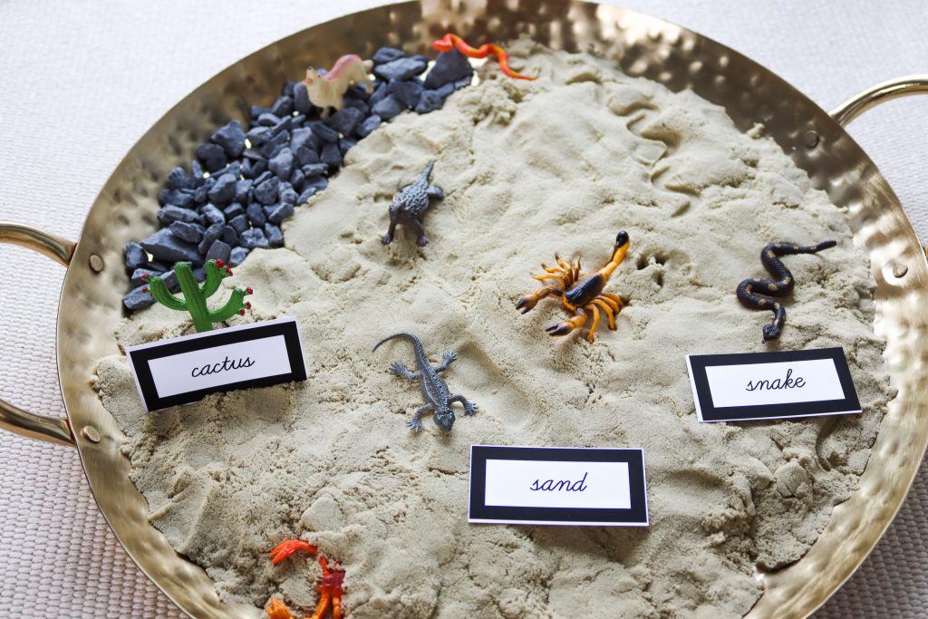 Use these Montessori North America maps printables to create hands-on geography activities. Montessori North America Unit. Let's explore different ways we can study the geography of North America! We will have a look at map activities, biomes, and more!