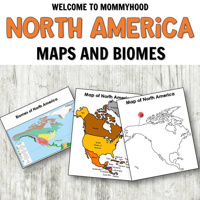 Discover Montessori North America continent study activities and resources. Everything from flags to life cycles to grammar is included!