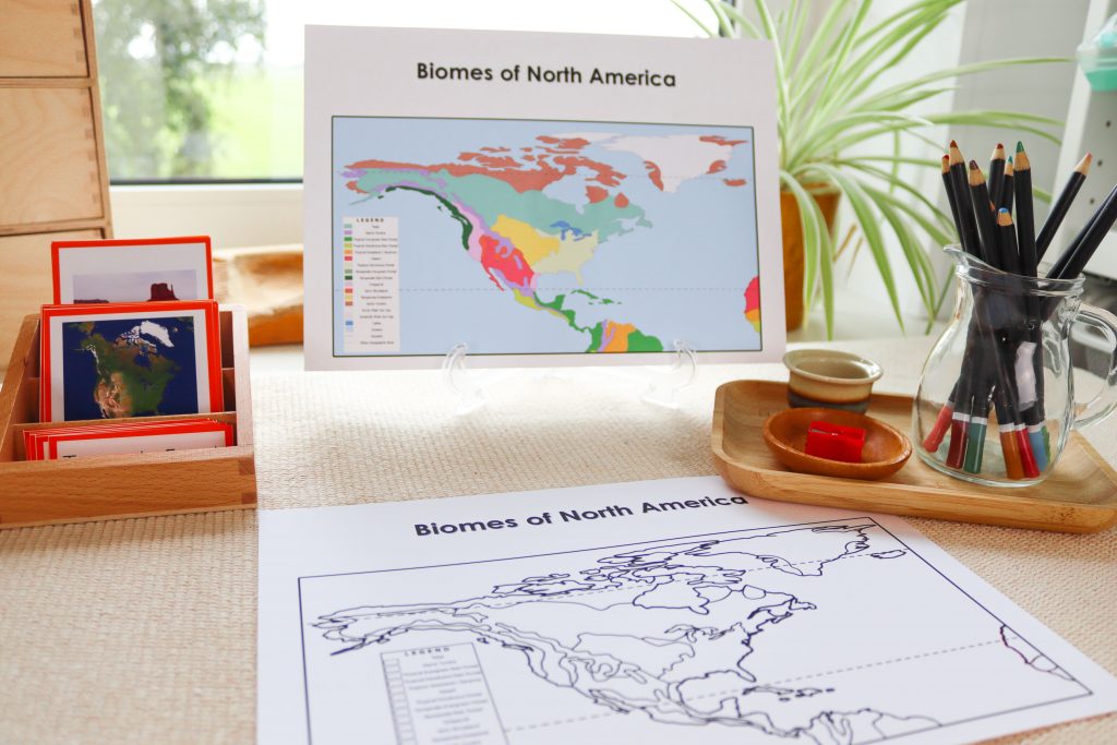 Use these Montessori North America maps printables to create hands-on geography activities. Montessori North America Unit. Let's explore different ways we can study the geography of North America! We will have a look at map activities, biomes, and more!