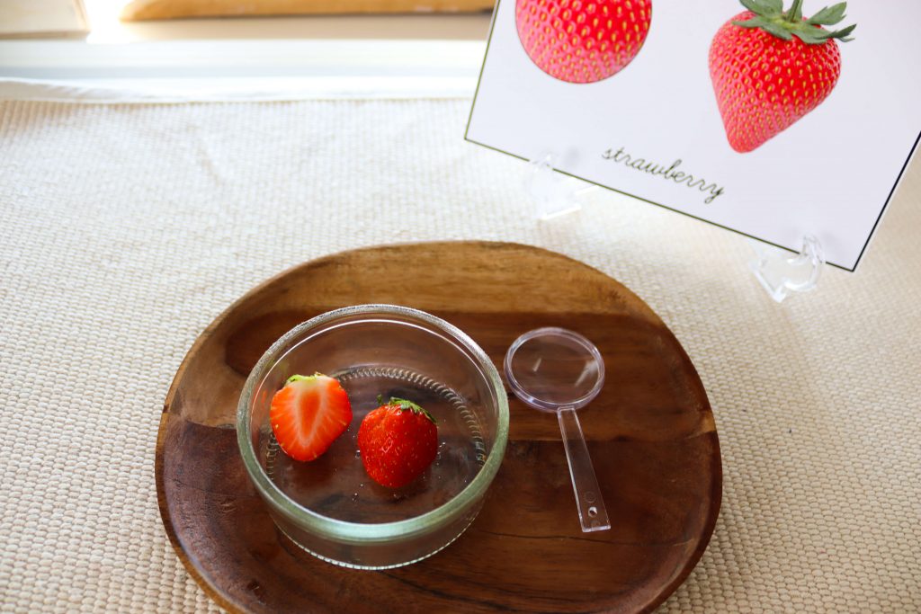 Use this collection of Fruits and Vegetables activities and printables to create fun, hands-on learning activities your students will love! This article includes activities that cover literacy, math, and science!
