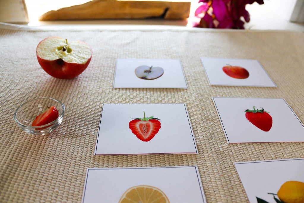 Use this collection of Fruits and Vegetables activities and printables to create fun, hands-on learning activities your students will love! This article includes activities that cover literacy, math, and science!