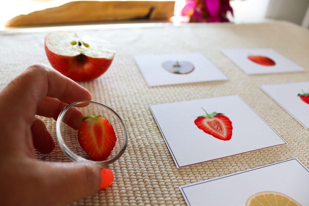 Use this collection of Fruits and Vegetables activities and printables to create fun, hands-on learning activities your students will love! This article includes activities that cover literacy, math, and science!