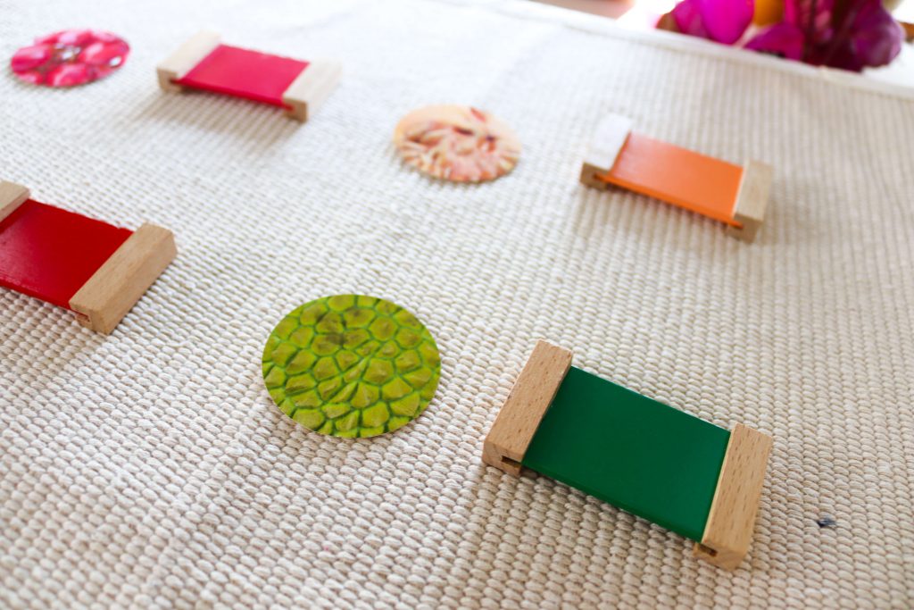 Use this collection of Fruits and Vegetables activities and printables to create fun, hands-on learning activities your students will love! This article includes activities that cover literacy, math, and science!