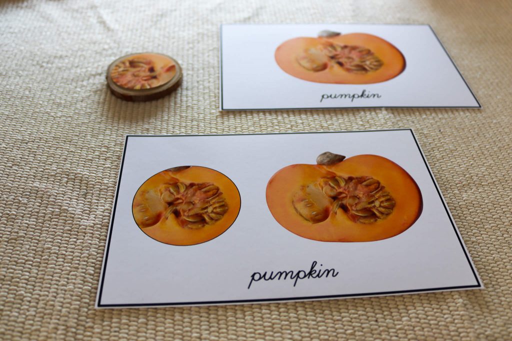 Fruits and vegetables close-up cards. Attach the circle close-up card to a wooden disk. 