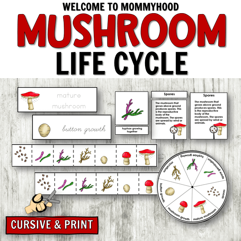 Use these Mushroom Life Cycle Printables to create fun, hands-on learning activities your students will love! This set includes detailed images that clearly demonstrate the life cycle of a mushroom.
