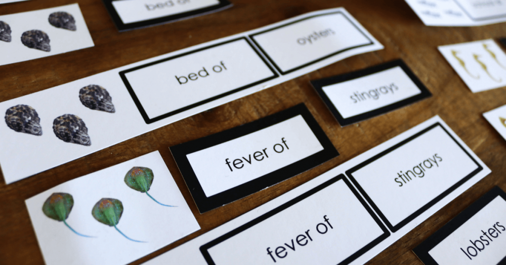 Marine-Animal-Collective-Nouns-1