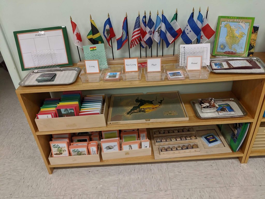 Discover Montessori North America continent study activities and resources. Everything from flags to life cycles to grammar is included!