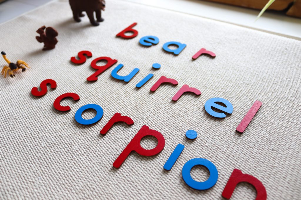 Discover Montessori North America continent study activities and resources. Everything from flags to life cycles to grammar is included!
