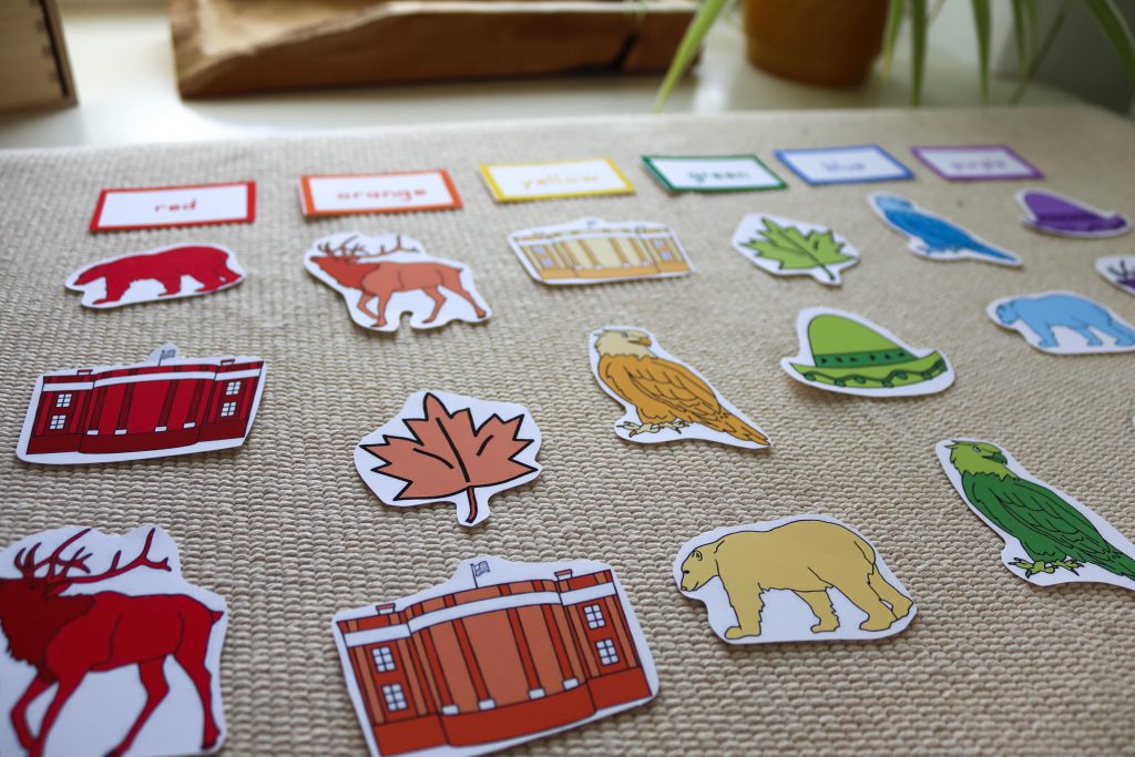 Discover Montessori North America continent study activities and resources. Everything from flags to life cycles to grammar is included!