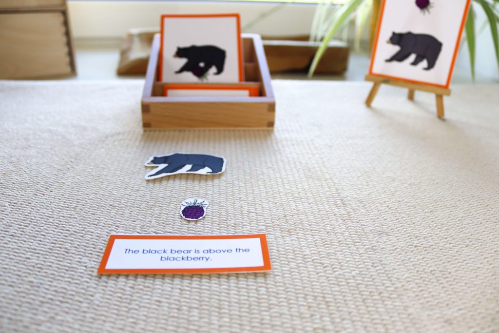 Discover Montessori North America continent study activities and resources. Everything from flags to life cycles to grammar is included!