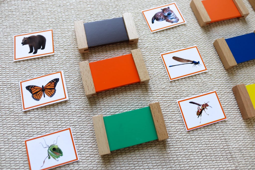 Discover Montessori North America continent study activities and resources. Everything from flags to life cycles to grammar is included!
