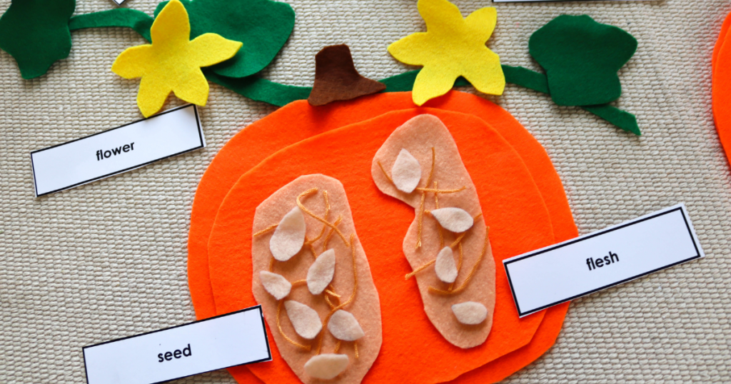 Montessori Pumpkin Theme Activities for early childhood