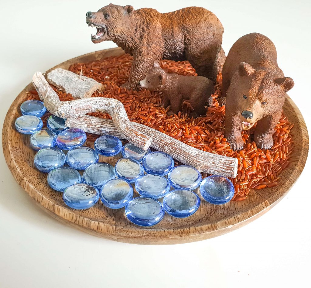 Discover Montessori North America continent study activities and resources. Everything from flags to life cycles to grammar is included!